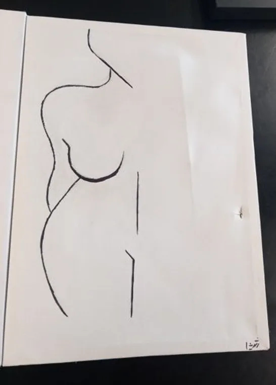 Lot THREE ASSORTED ABSTRACT WOMEN NUDE NAKED LADY BODY LINE DRAWING ART CANVAS