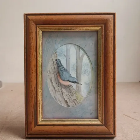 FRAMED KINGFISHER ART PRINT BY JULIE HOCKIN