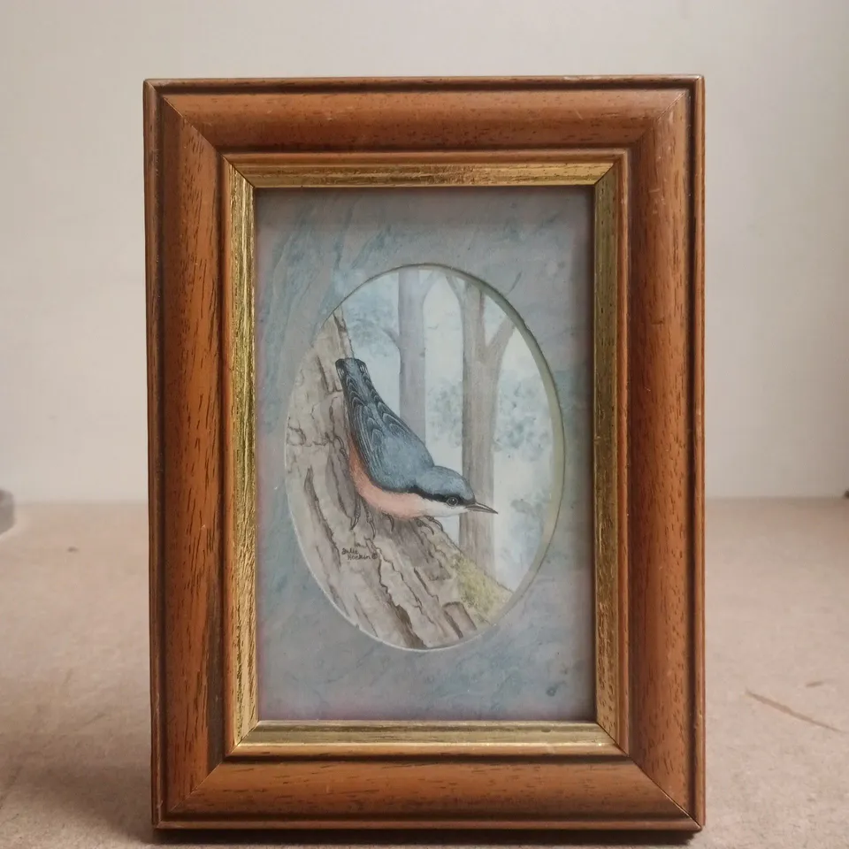 FRAMED KINGFISHER ART PRINT BY JULIE HOCKIN