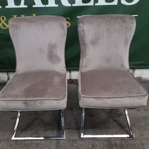 SET OF 2 MINK VELVET DINING CHAIRS