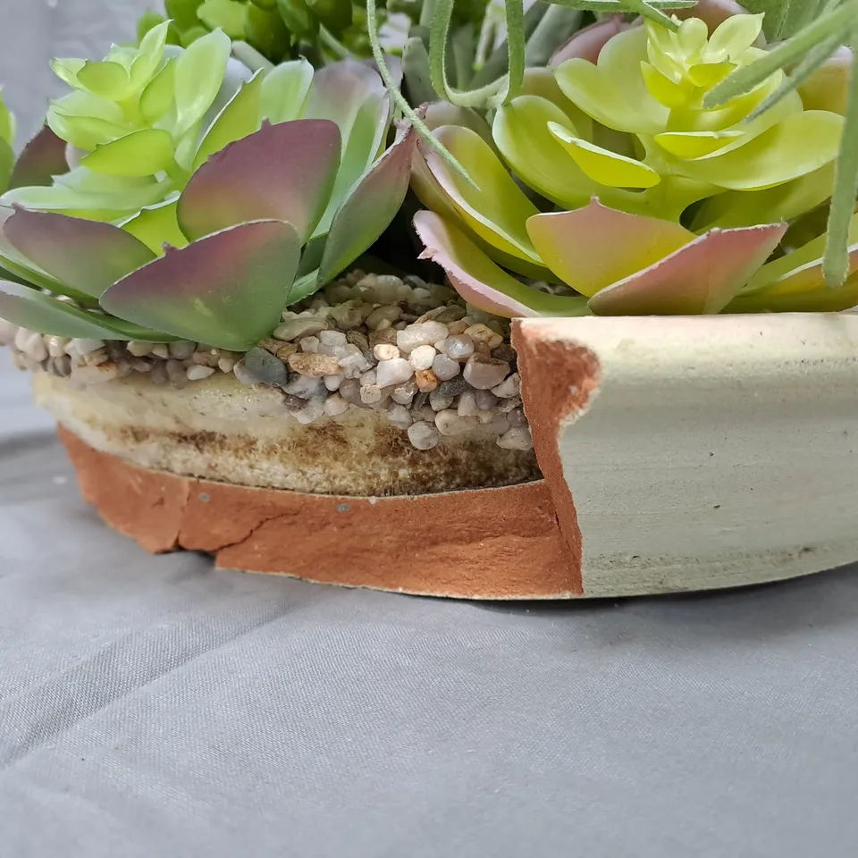 SUCCULENT PLANTER IN CERAMIC DISH (GARDEN ORNAMENT)