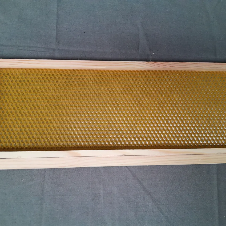 BOXED SMALL BEE SET OF 10 BEE HIVE FRAMES