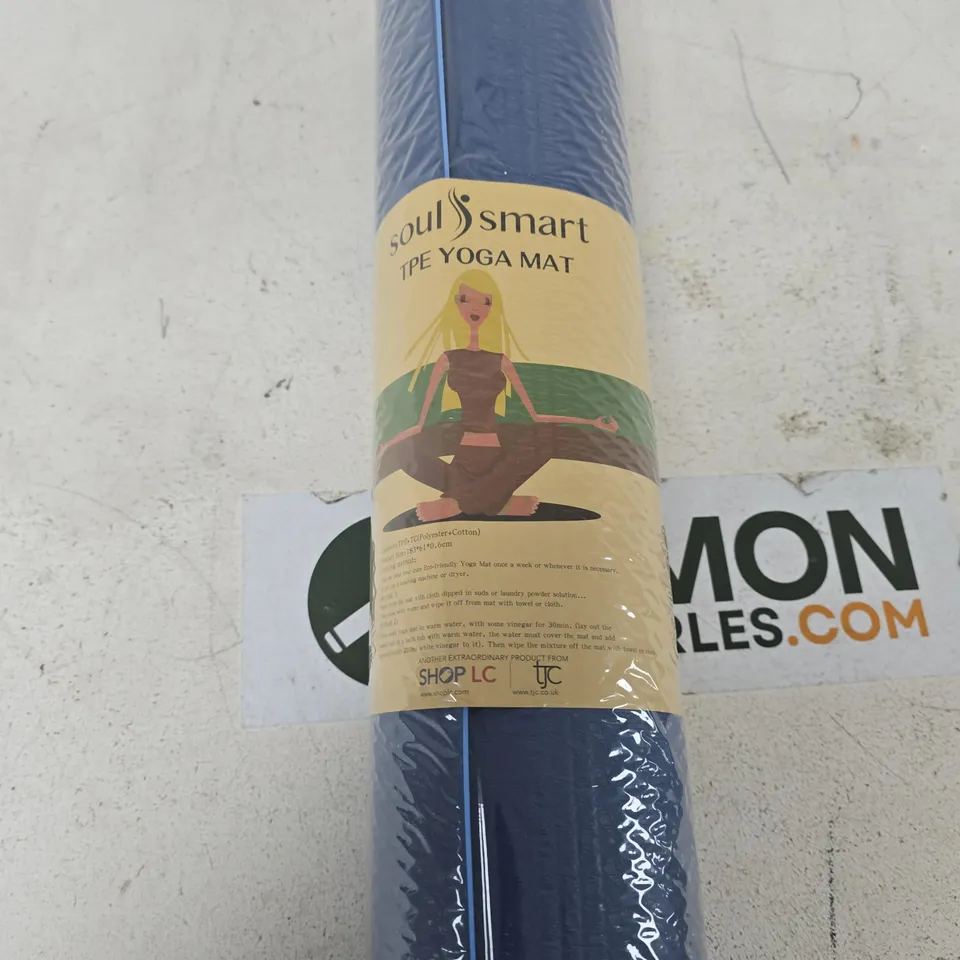 BOX OF 12 BLUE SOULSMART TPE YOGA MATS