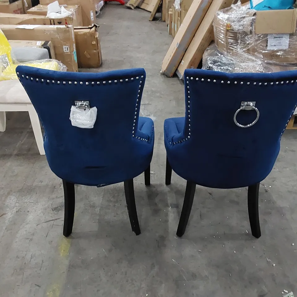 DESIGNER VELVET ROYAL BLUE DINING CHAIRS 
