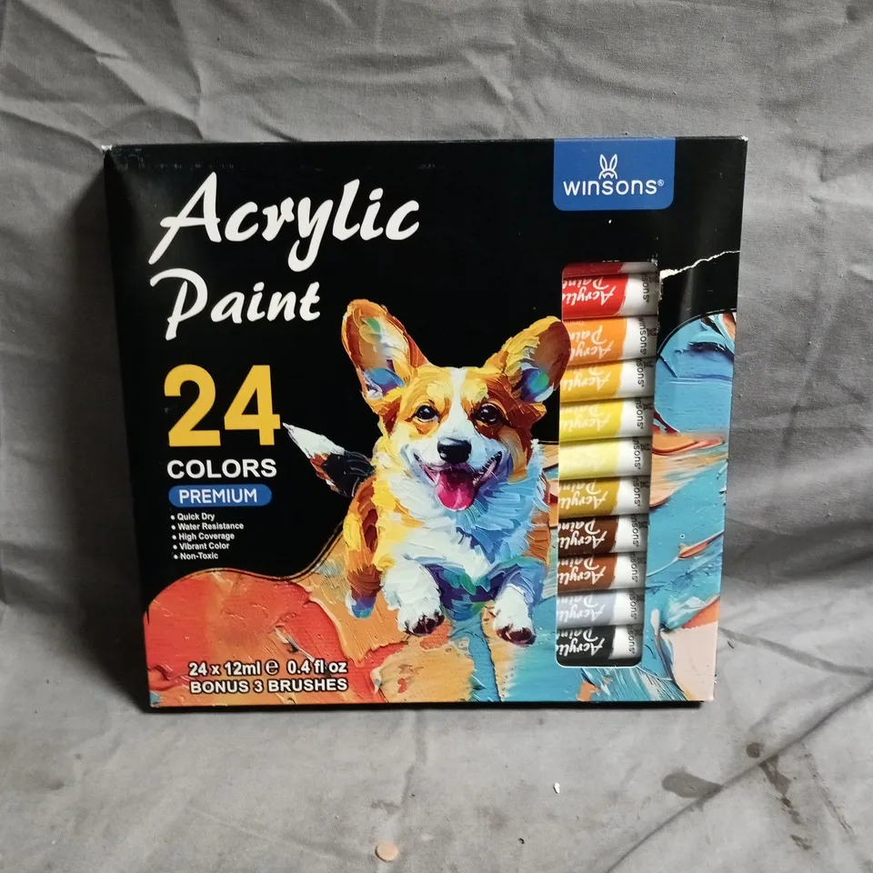 WINSONS ACRYLIC PAINT SET - 24 X 12ML 