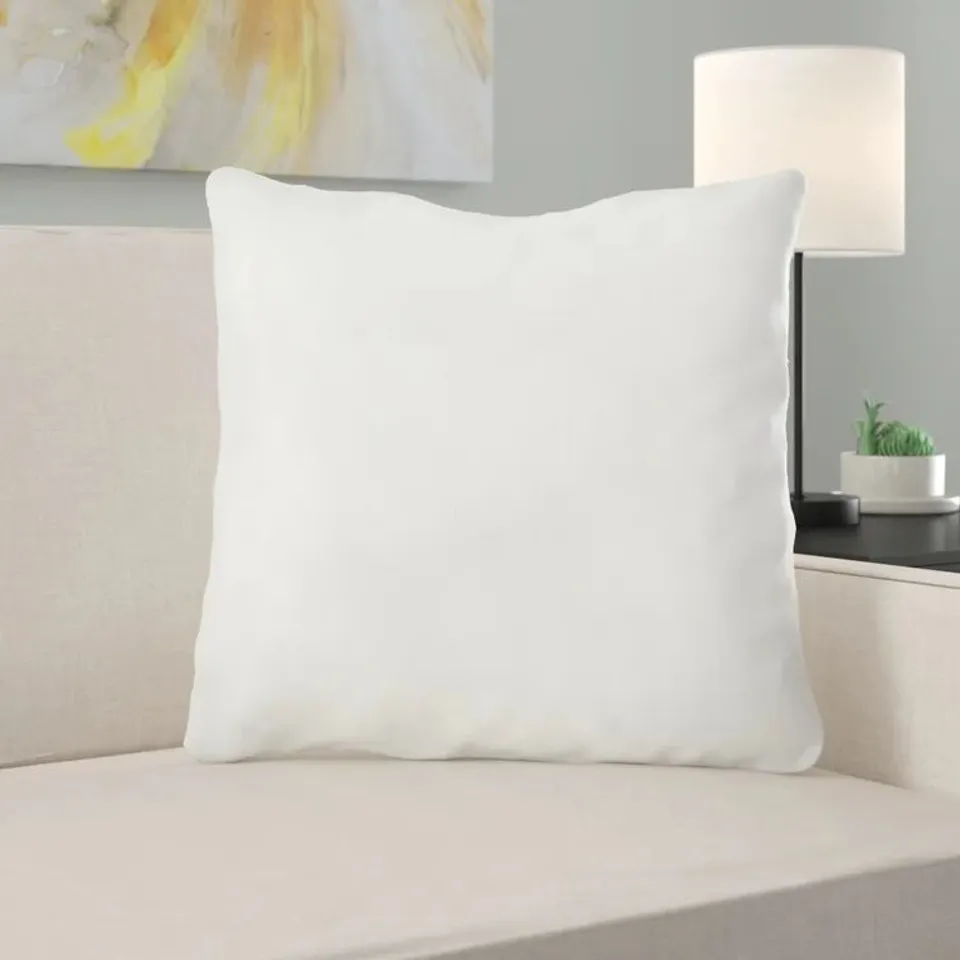 2 X SQUARE EURO CUSHION PADS