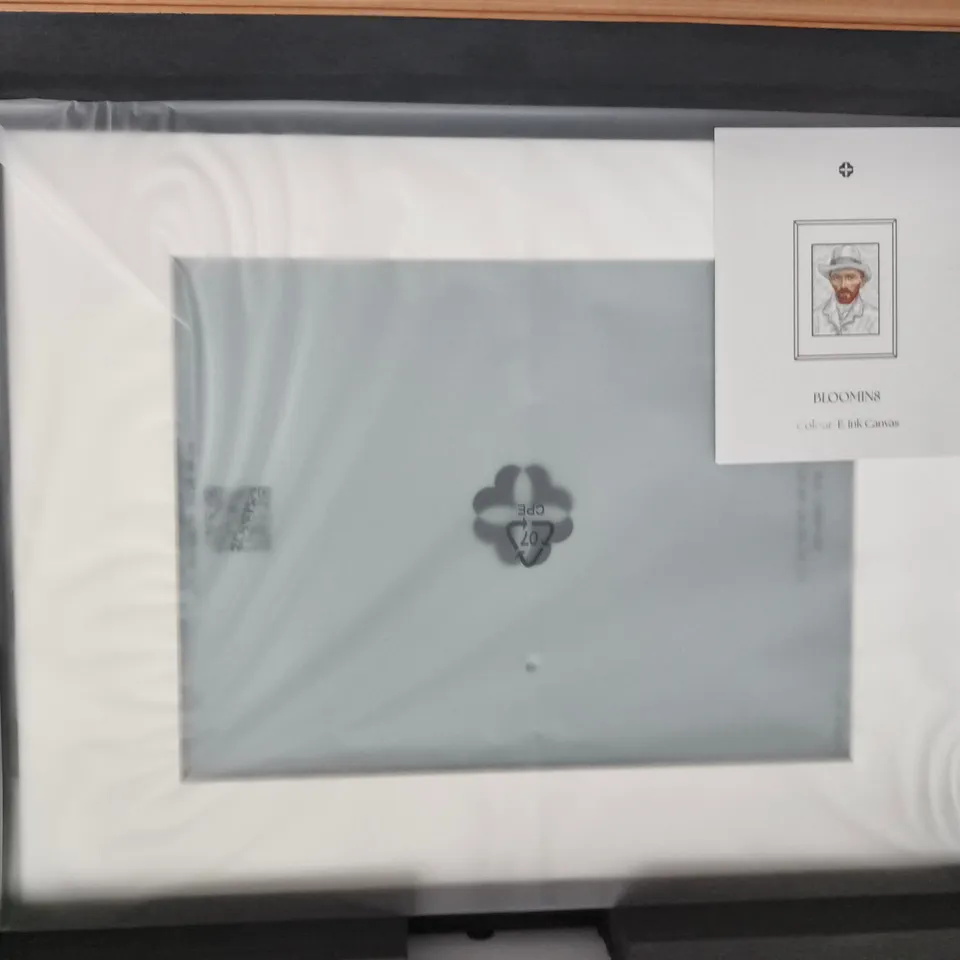 BOXED BLOOMIN8 13.3 INCH B8ECE613301 E-LINK CANVAS