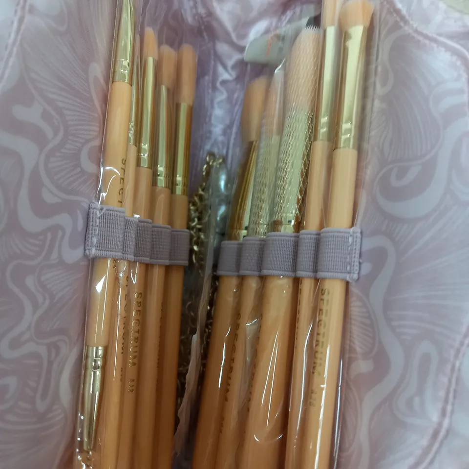 SPECTRUM GLAM CLAM 10 PIECE BRUSH SET IN BAG