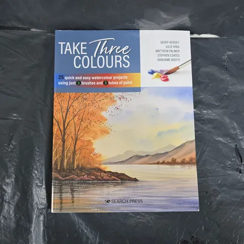 TAKE THREE COLOURS WATERCOLOUR PROJECT GUIDE 