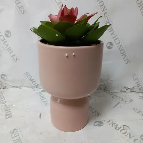 BOXED BUNDLEBERRY BY AMANDA HOLDEN STANDING PLANTER WITH FAUX SUCCULENT