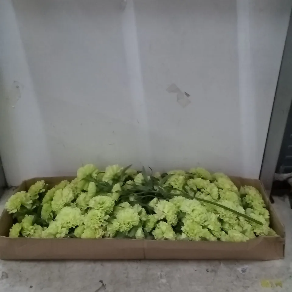 BOXED BRAND NEW 65CM CARNATION ARTIFICIAL SILK FLOWERS GREEN 