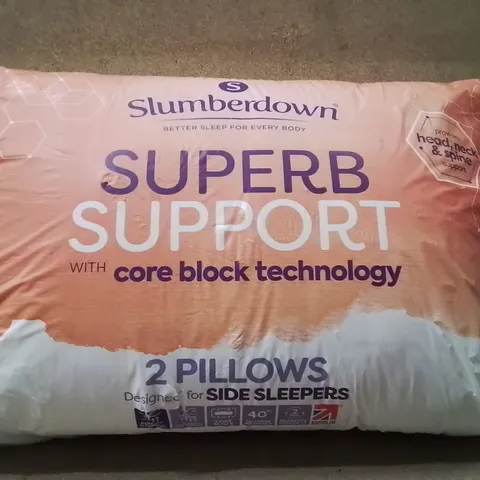 BAGGED SLUMBERDOWN SUPERB SUPPORT PILLOW PAIR