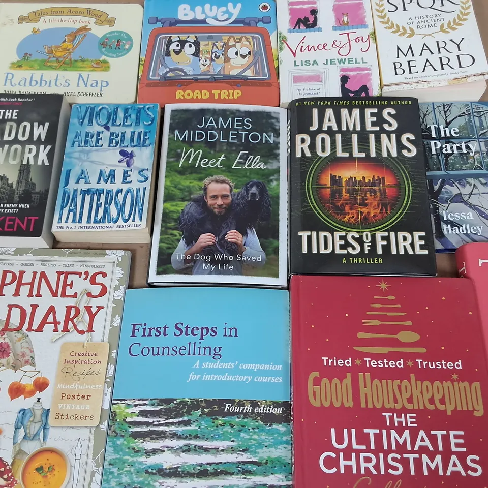 LARGE QUANTITY OF ASSORTED BOOKS TO INCLUDE JAMES ROLLINGS TIDES OF FIRE, GOOD HOUSEKEEPING ULTIMATE CHRISTMAS AND VARIOUS KIDS BOOKS