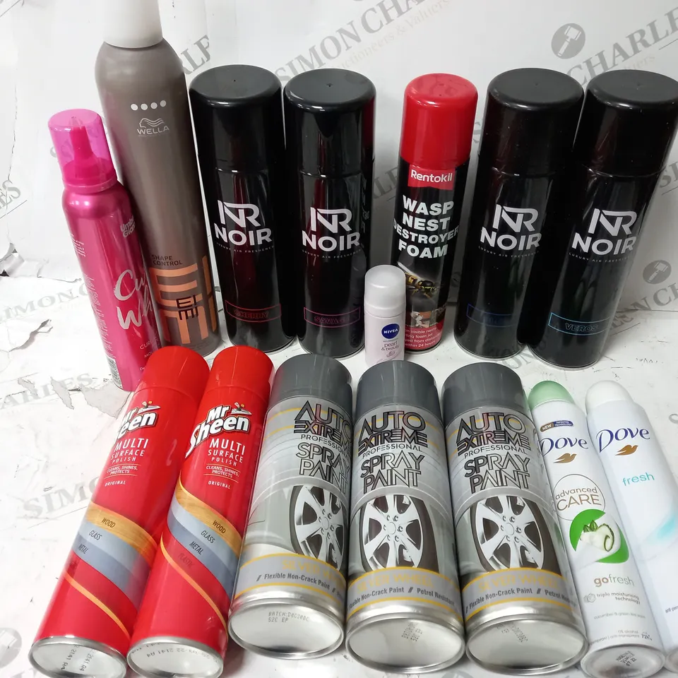 APPROXIMATELY 12 HOUSEHOLD ITEMS INCLUDING AUTO EXTREME PROFESSIONAL SPRAY PAINT, DOVE DEODERANT