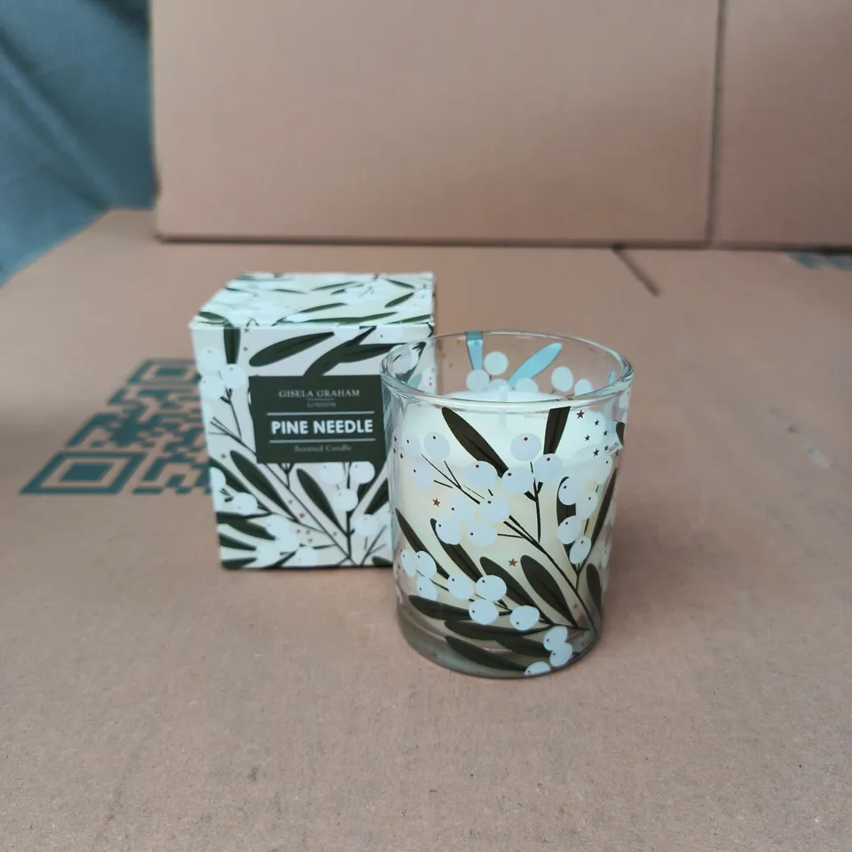 GISELA GRAHAM PINE NEEDLE SCENTED CANDLE IN DECORATIVE GLASS – BOX OF 24