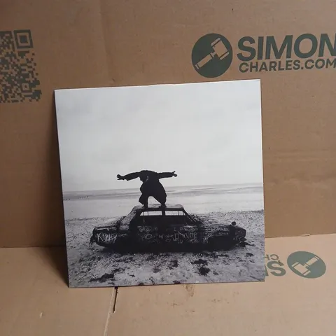 THE 1975 BEING FUNNY IN A FOREIGN LANGUAGE VINYL