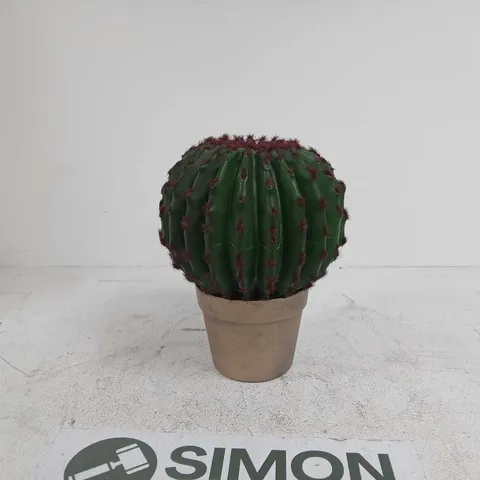 SMALL POTTED CACTUS (BARREL CACTUS) IN TERRACOTTA POT DECORATION BOXED
