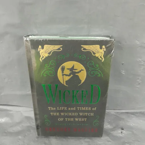 WICKED LIFE & TIMES OF THE WICKED WITCH BOOK 