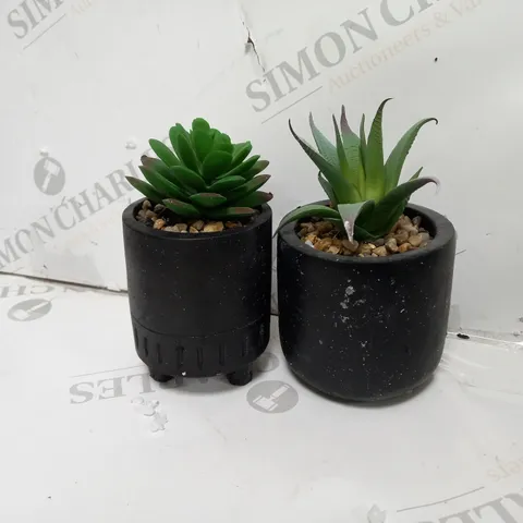 6 TINY PLANTERS WITH PLANT 2PK - MATTE BLACK