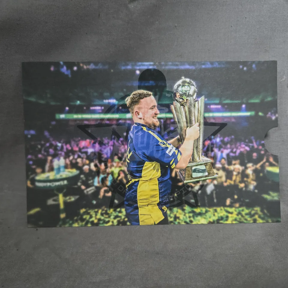 TARGET LUKE LITTLER WORLD CHAMPION EDITION STEEL TIP DARTS