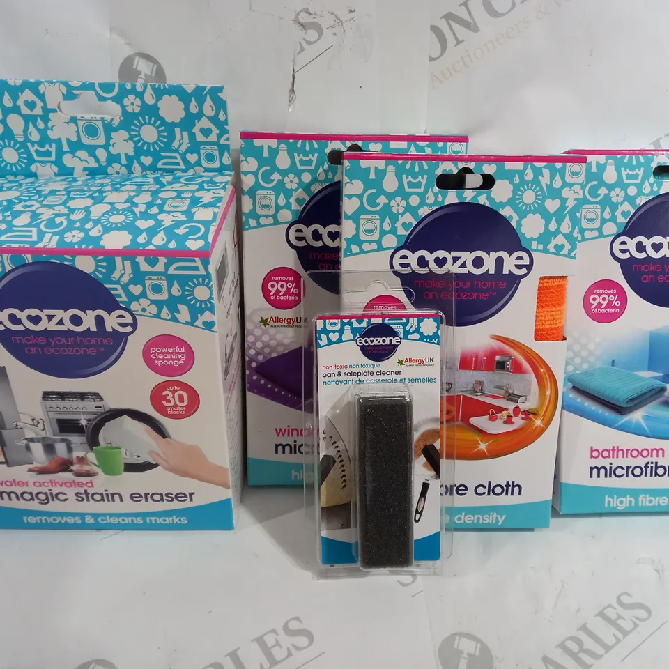 ECOZONE 5 PIECE CLEANING KIT