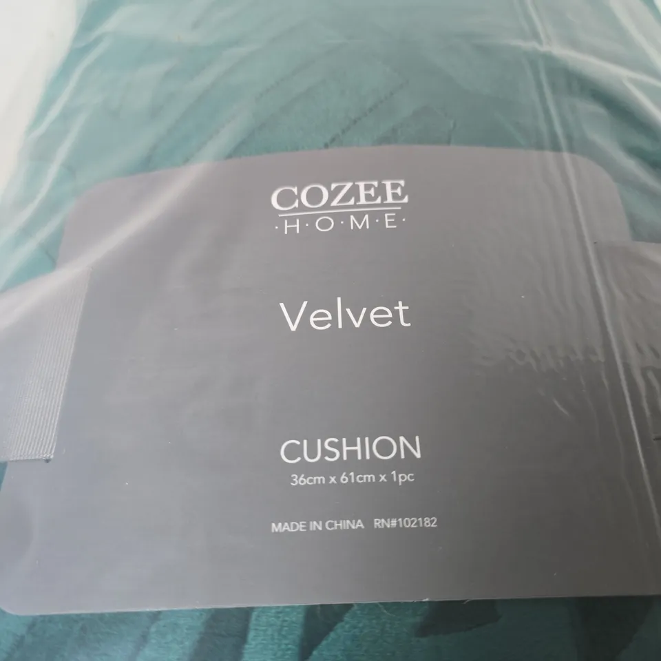 COZEE HOME VELVET CUSHION 36 X 61 CM – TEAL