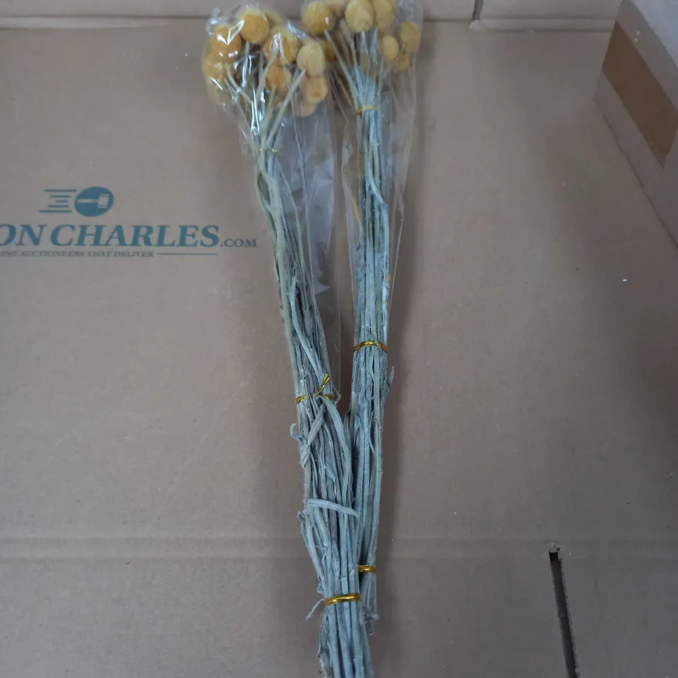 BOX OF 2 X WRAPPED BUNCHES OF DRIED FLOWERS (20 STEMS PER BUNCH/BOUQUET, CRASPEDIA, AS PER BOX LABEL), APPROX. 45 CM LONG IN TOTAL
