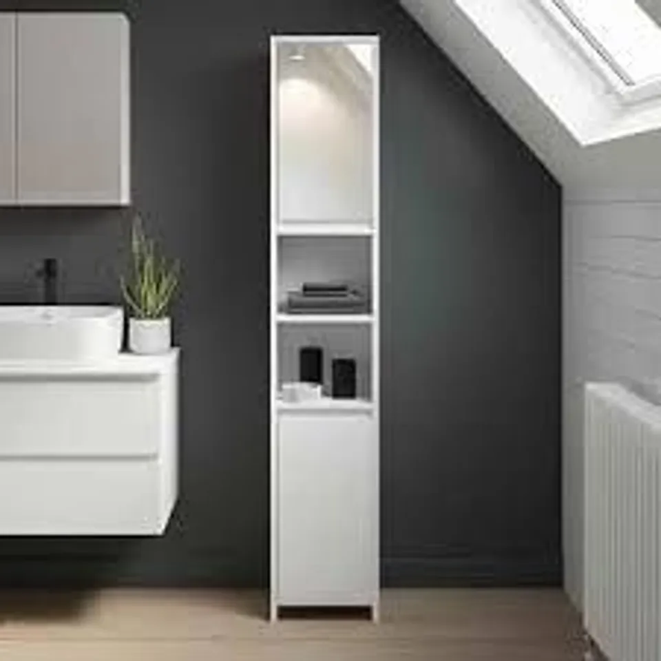 BOXED CLIPOP 2-DOOR BATHROOM STORAGE WALL CABINET
