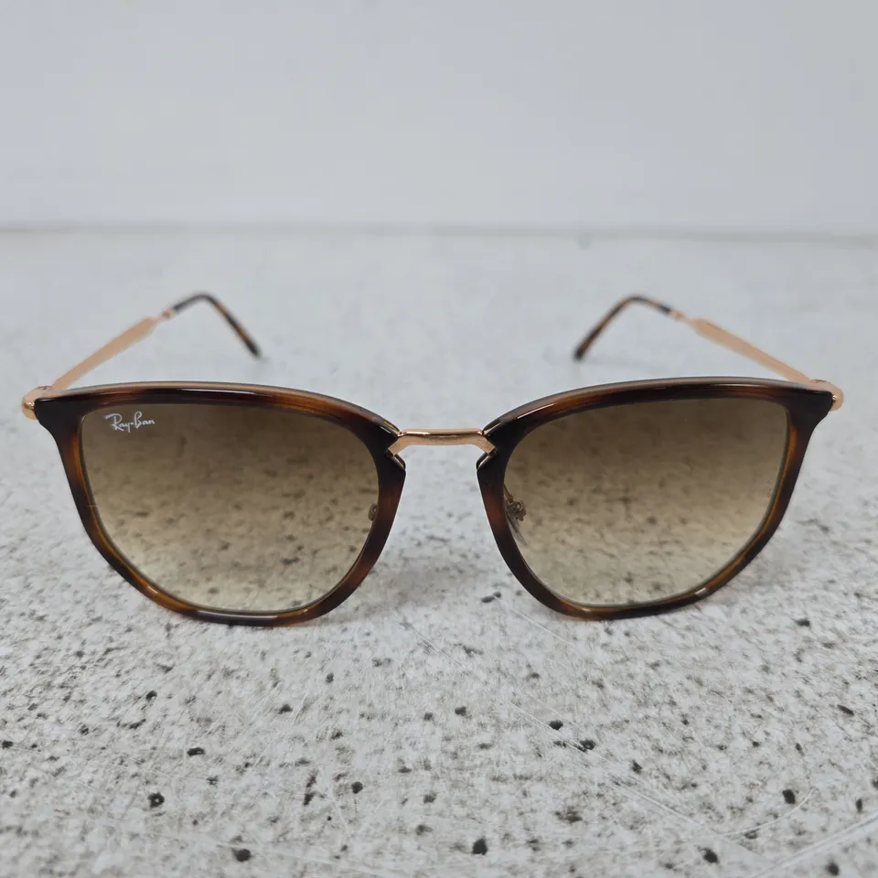 RAY-BAN 0RB4451 IRREGULAR SUNGLASSES - BROWN