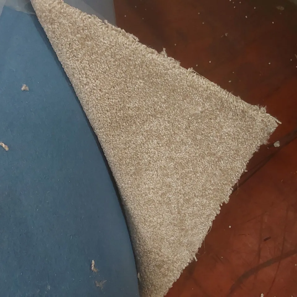 ROLL OF QUALITY VARIETY TRIALS CARPET - APPROXIMATELY 30 x 1m