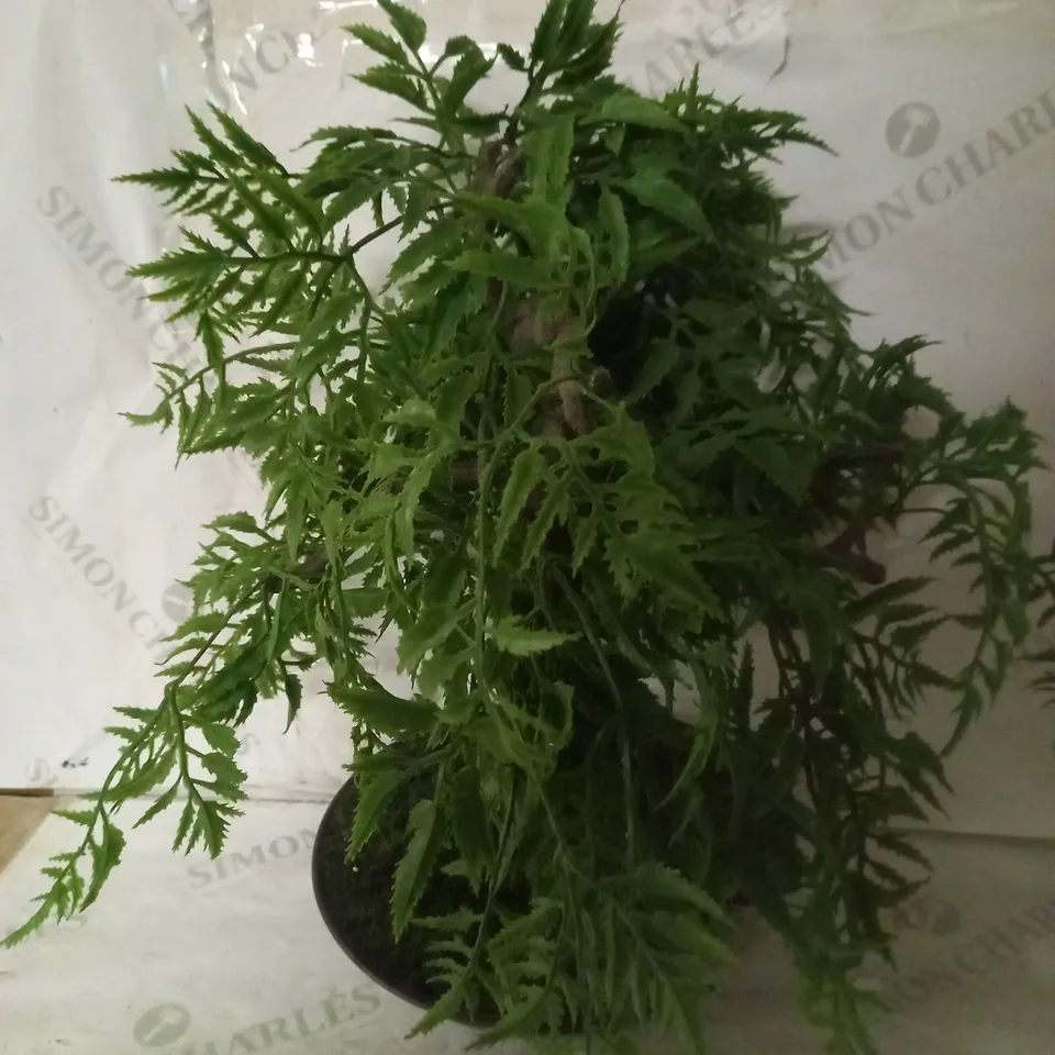 LEAF ARTIFICIAL SMALL BONSAI TREE