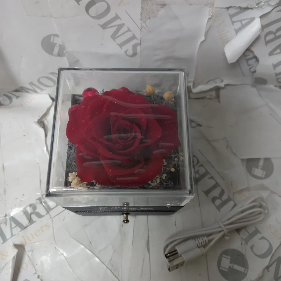 ETERNAL ROSE