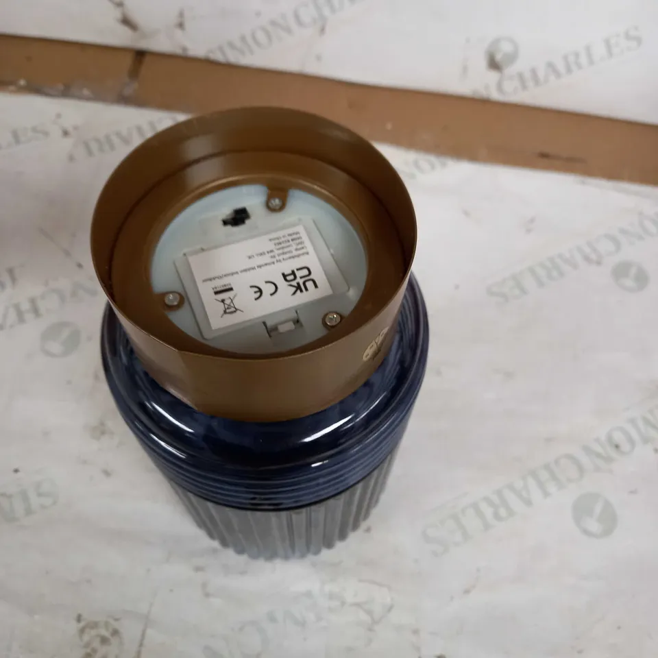 BUNDLEBERRY BY AMANDA HOLDEN INDOOR/OUTDOOR LIGHT