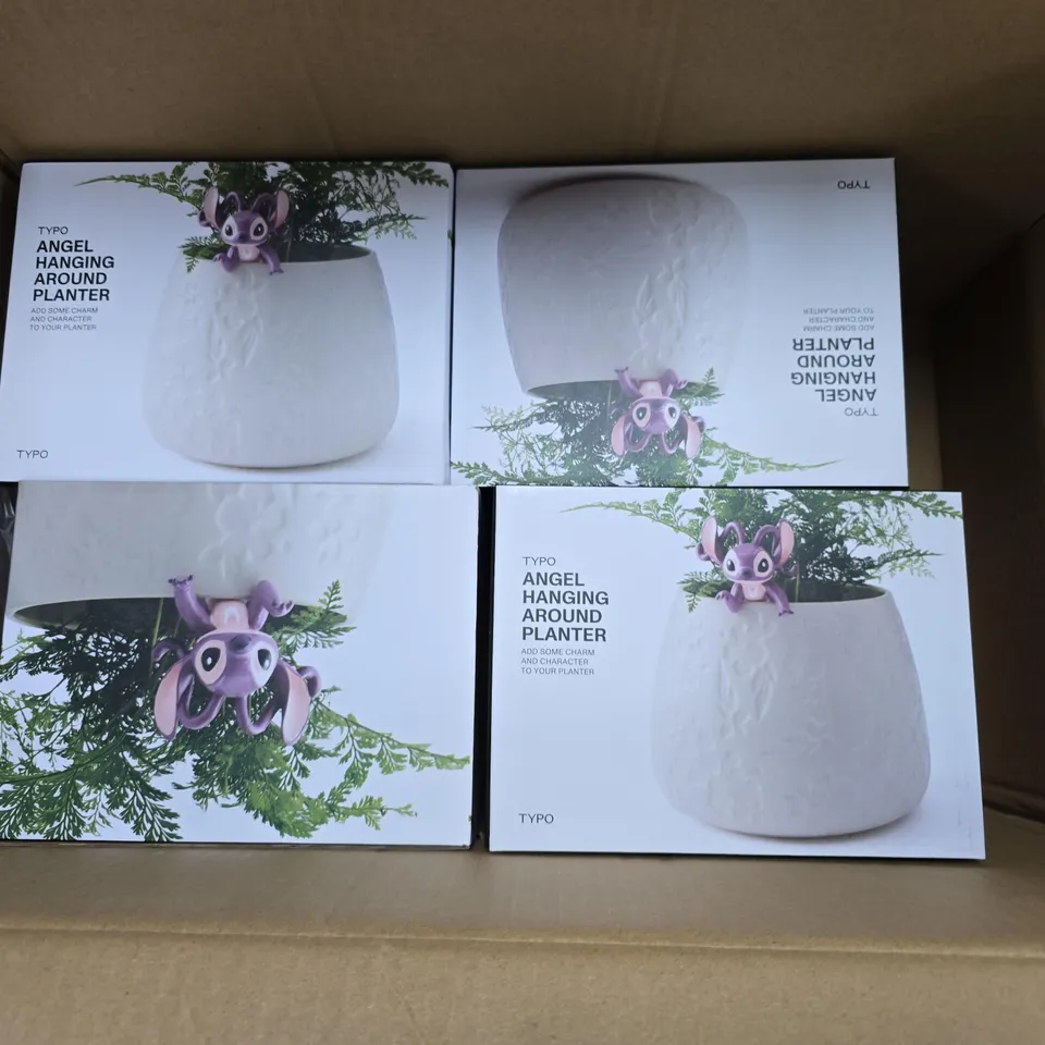 4 BOXED TYPO ANGEL HANGING AROUND PLANTERS