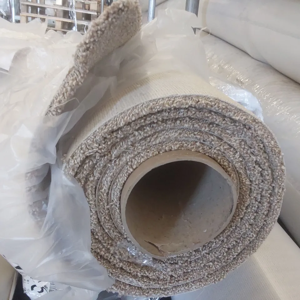 ROLL OF QUALITY FIRST IMPRESSIONS FRESH CARPET - APPROXIMATELY 3 x 4m