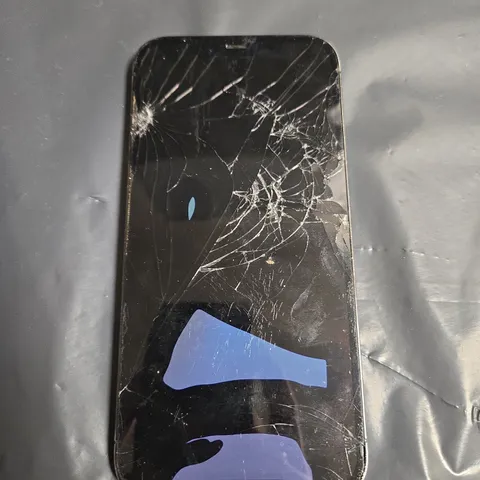 APPLE IPHONE 12 PRO MAX A2411