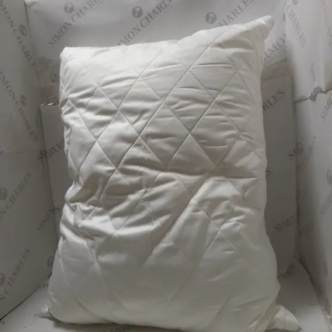 MULBERRY SILK SURROUND PILLOW