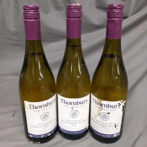 THREE BOTTLES OF THORNBURY NEW ZEALAND MARLBOROUGH SAUVIGNON BLANC 2022 750ML