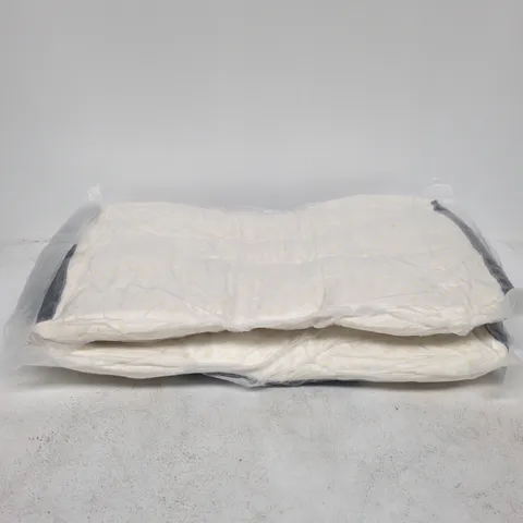 SET OF 2 PILLOWS