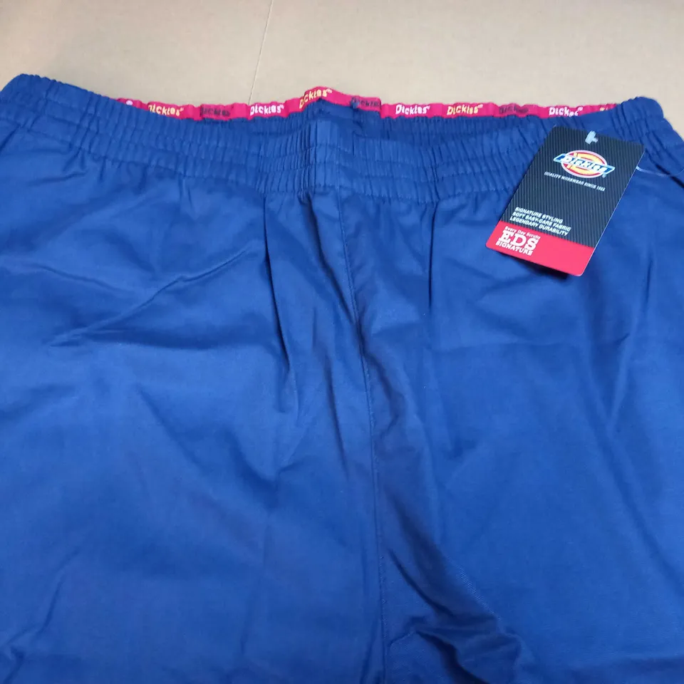 DICKIES MODERN CLASSIC DURABLE BAGGY PANTS IN NAVY - LARGE