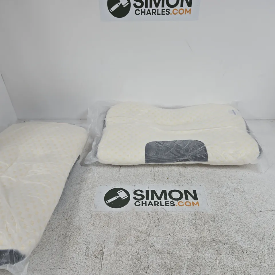 CREAM-COLOURED FOAM CUSHIONS – SET OF 2 IN PLASTIC PACKAGING