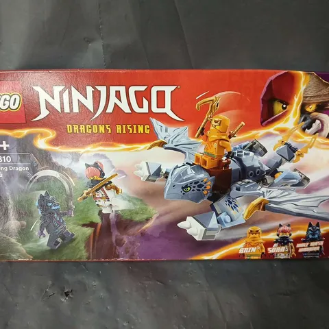 LEGO NINJAGO DRAGONS RISING YOUNG DRAGON RIYU - 71810