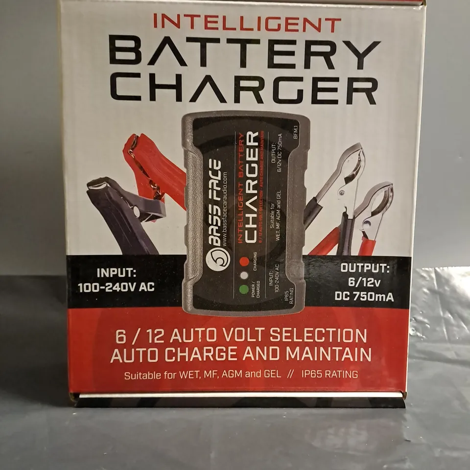 BOXED INTELLIGENT BATTERY CHARGER 