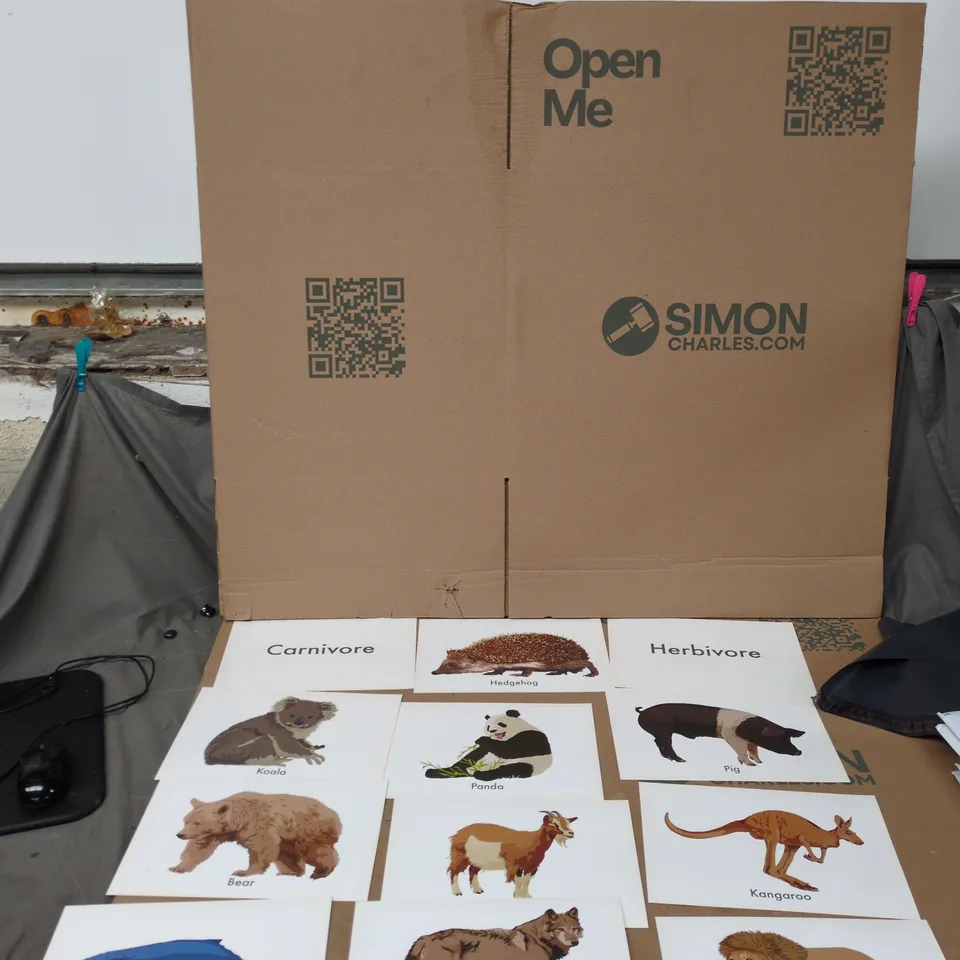 APPROXIMATELY 20 PACKS OF CARNIVORE,HERBIVORE AND OMNIVORE ACTIVITY CARDS  (BRAND NEW)