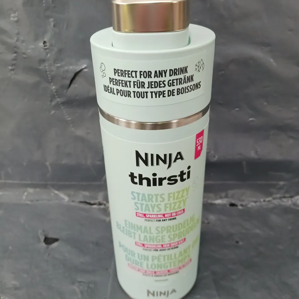 NINJA THIRSTI DRINKS CONTAINER IN MINT - 530ML	