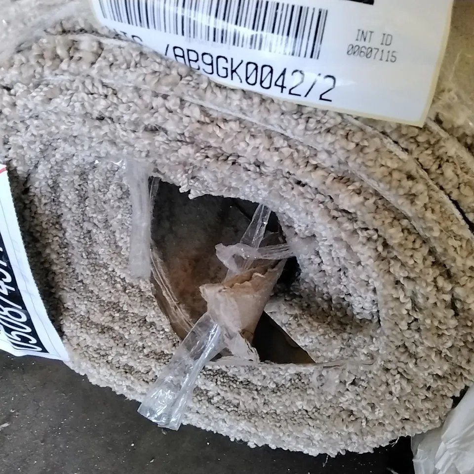 ROLL OF QUALITY ULTIMATE EXPRESSIONS BISCOTTI CARPET APPROXIMATELY 6.4 X 5M