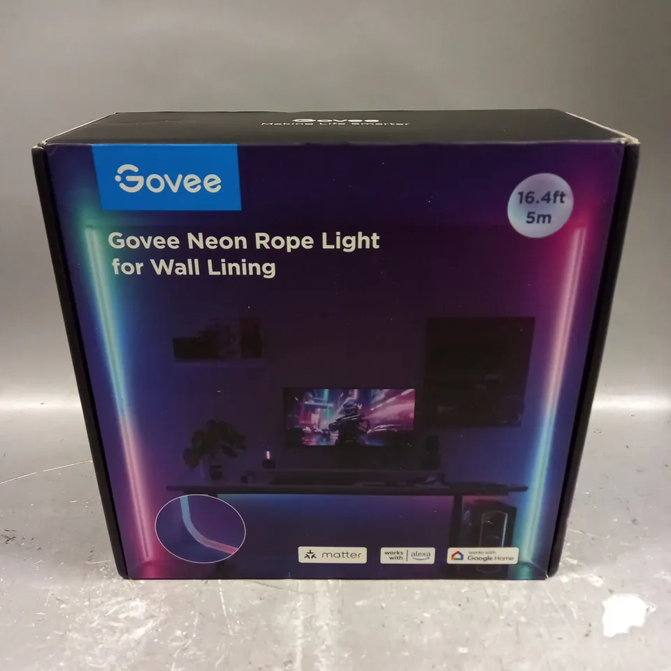 BOXED GOVEE NEON ROPE LIGHT - 5M