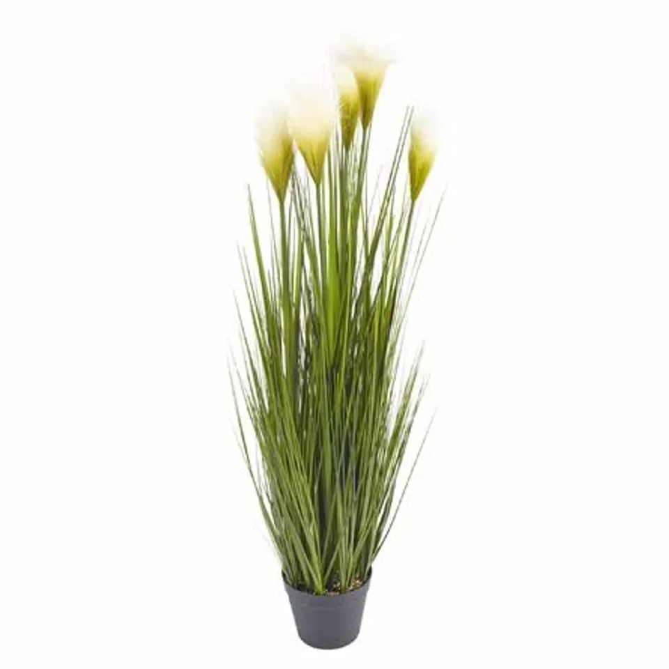 FEATHER GRASS PLANT IN POT SET SIZE 85CM