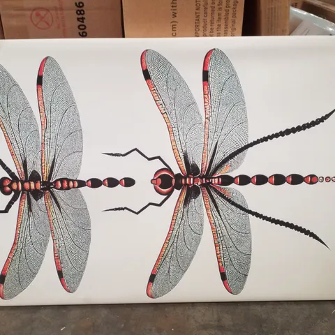 CLASSIC DRAGONFLIES - PRINT