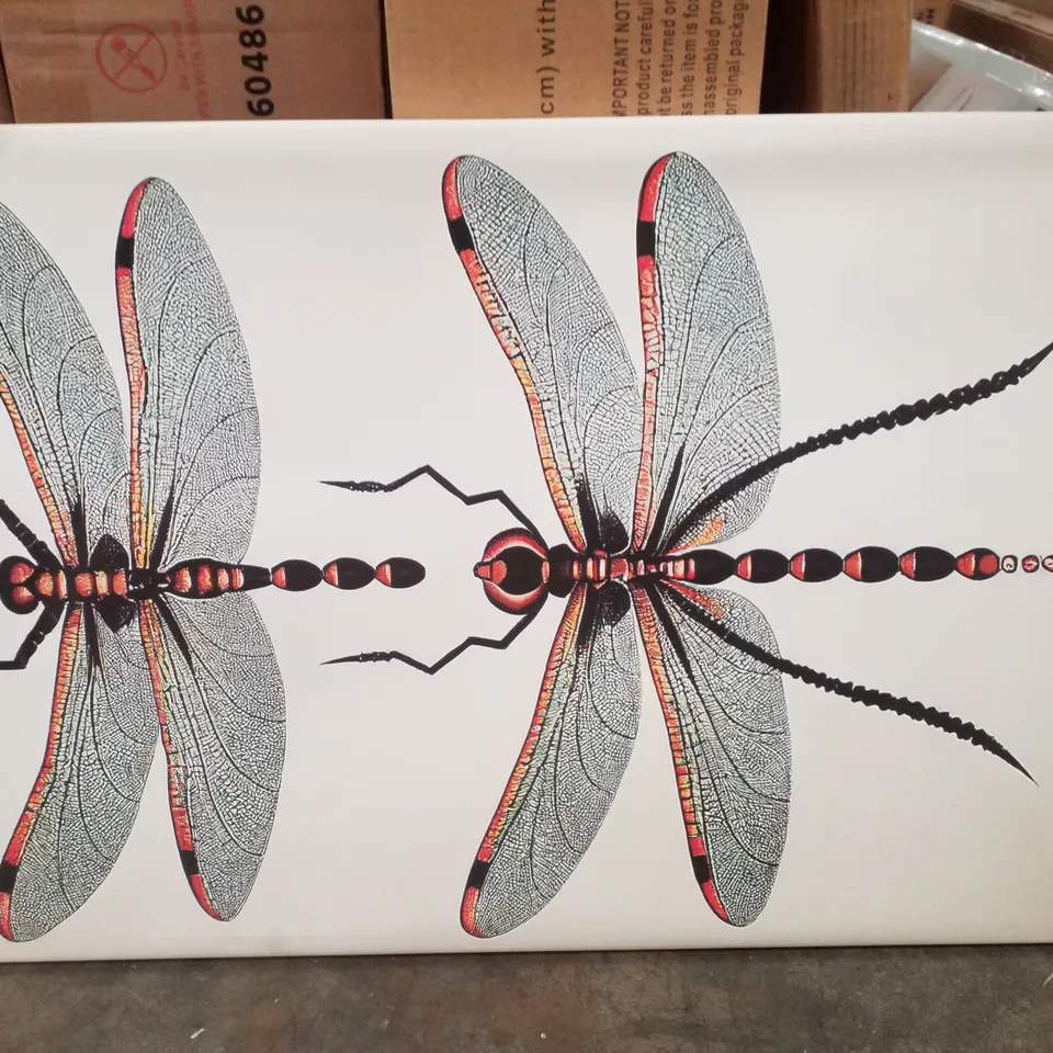 CLASSIC DRAGONFLIES - PRINT